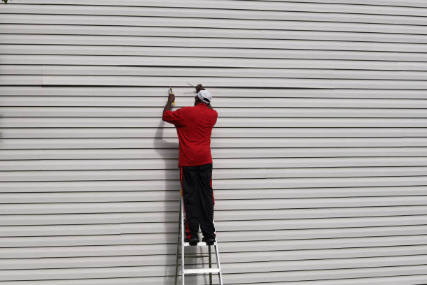 Best Siding Painting and Refinishing  in Rothsville, PA